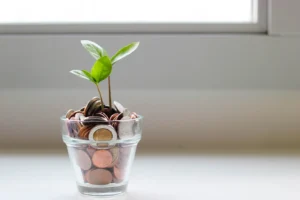 money plant - a jar of coins with a small plant growing out of them