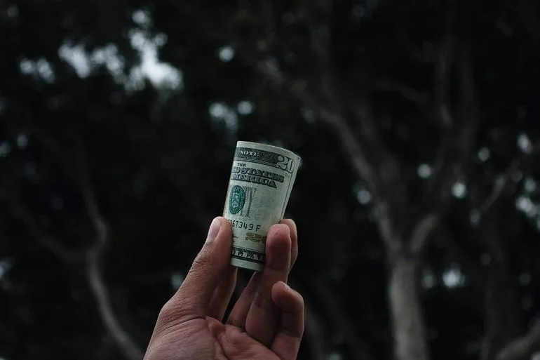 a hand holding a roll of $20 bills in front of a tree